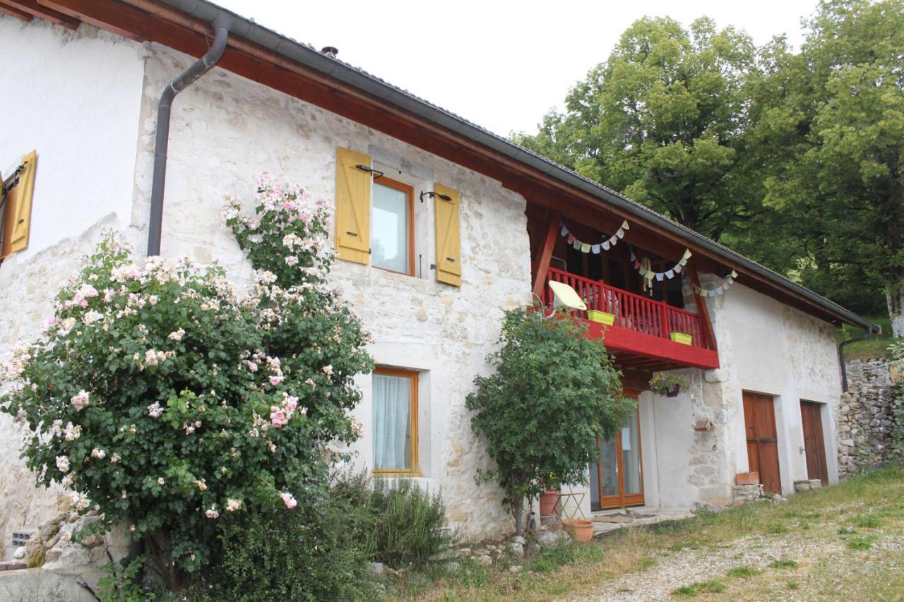 Hotonnes Chez Louve Bleue B&B 외부 사진