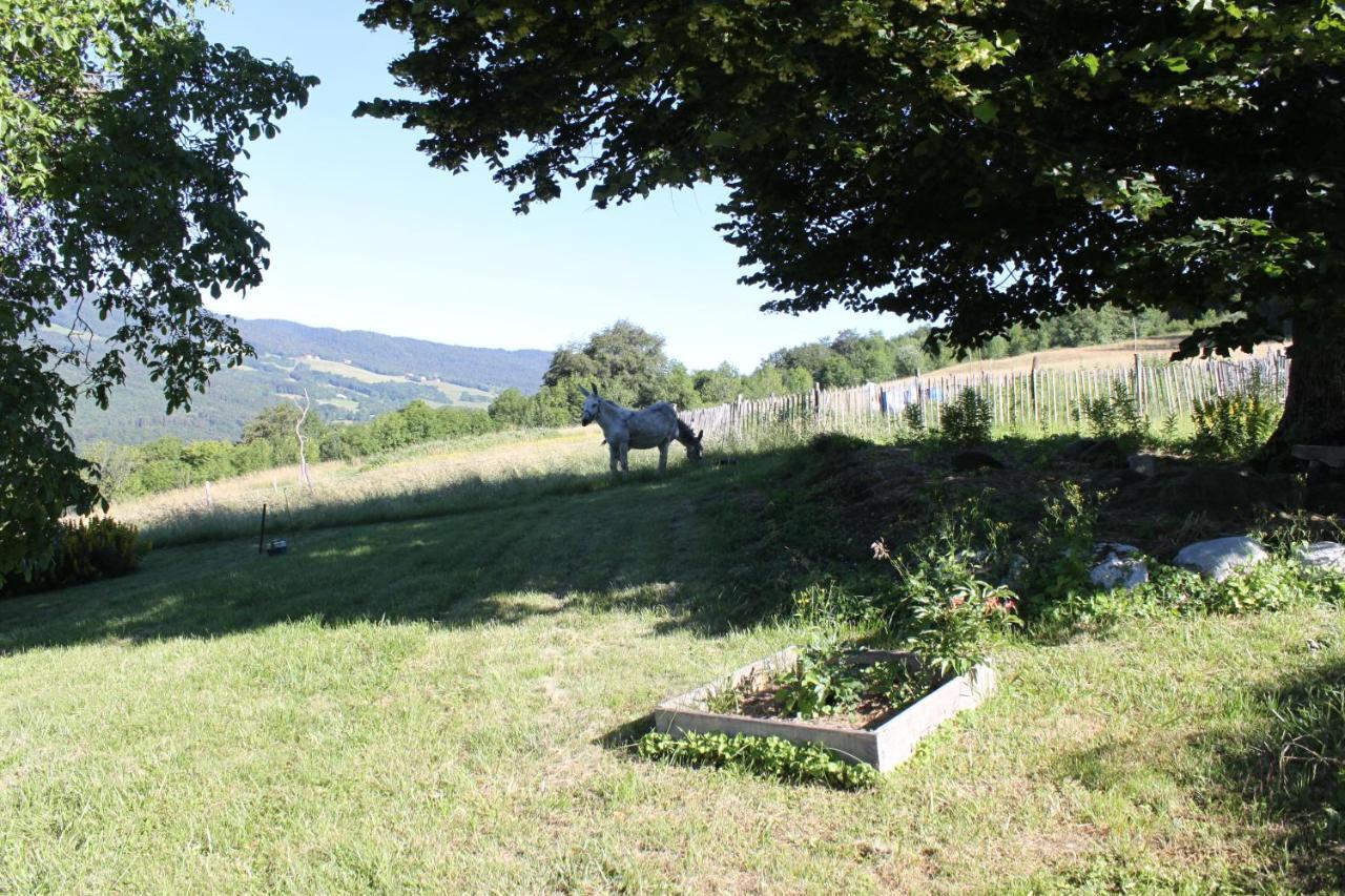 Hotonnes Chez Louve Bleue B&B 외부 사진